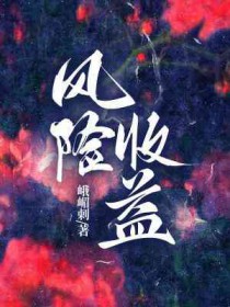 风险收益曲线